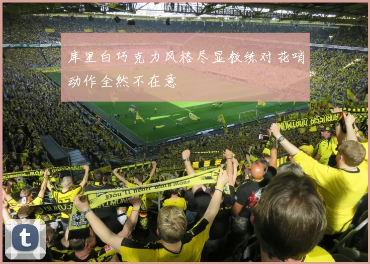 库里白巧克力风格尽显教练对花哨动作全然不在意
