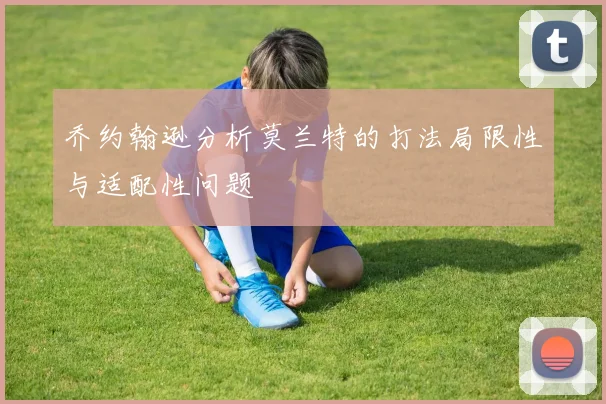 乔约翰逊分析莫兰特的打法局限性与适配性问题