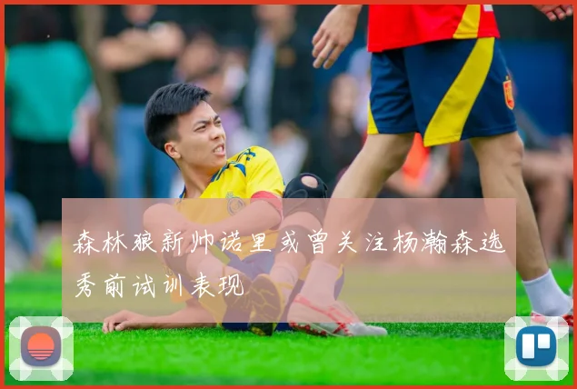 森林狼新帅诺里或曾关注杨瀚森选秀前试训表现